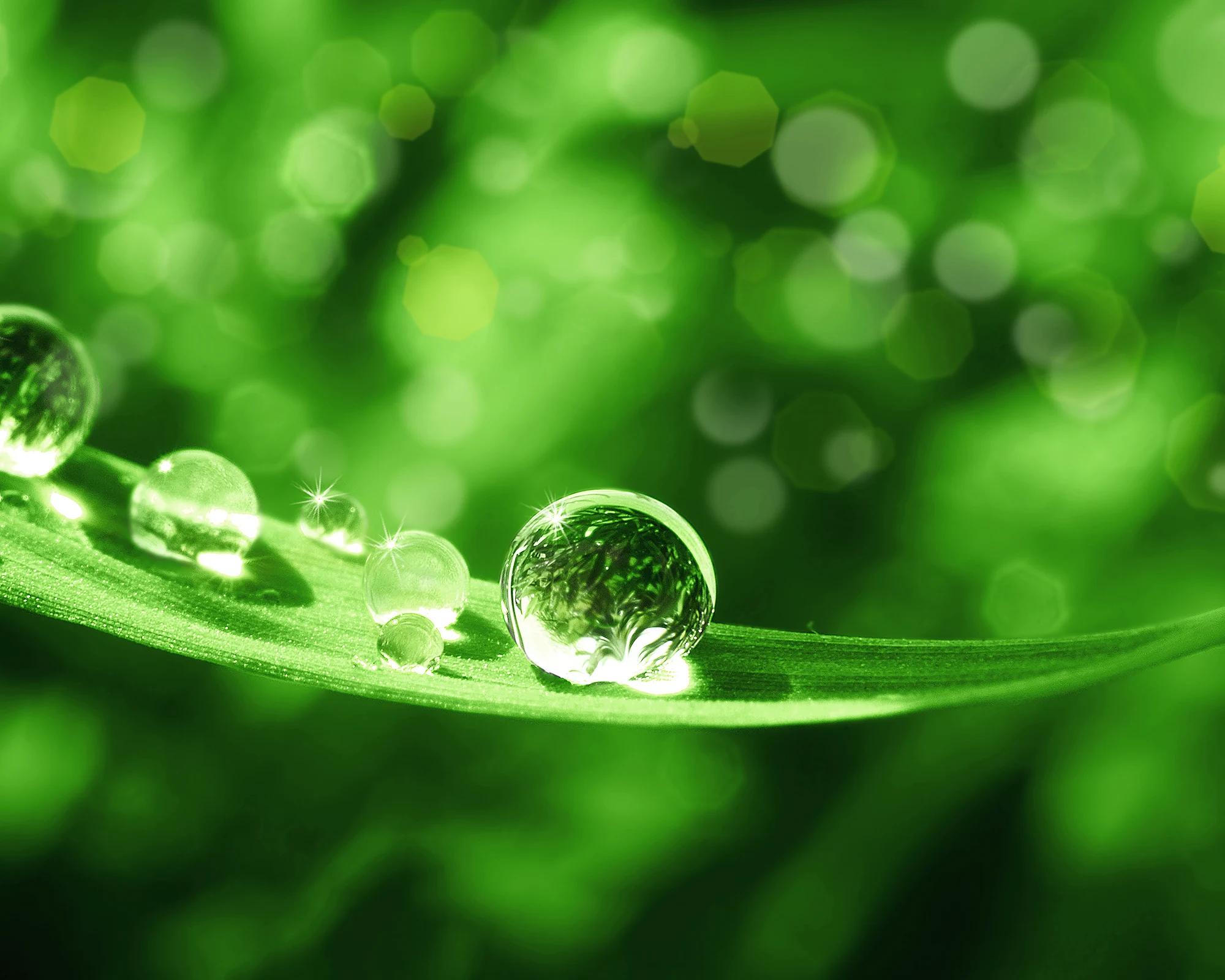 Menübild 1 Rovell Hotels