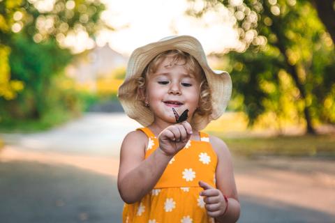 Buntes Staunen auf Usedom – Die Schmetterlingsfarm Trassenheide