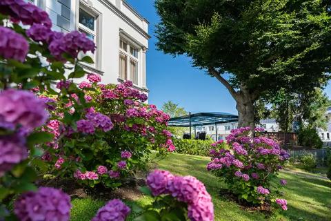 Frühlingszauber & Wohlfühlmomente mit Rovell Hotels