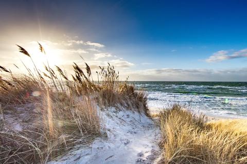 Arbeiten wo andere Urlaub machen