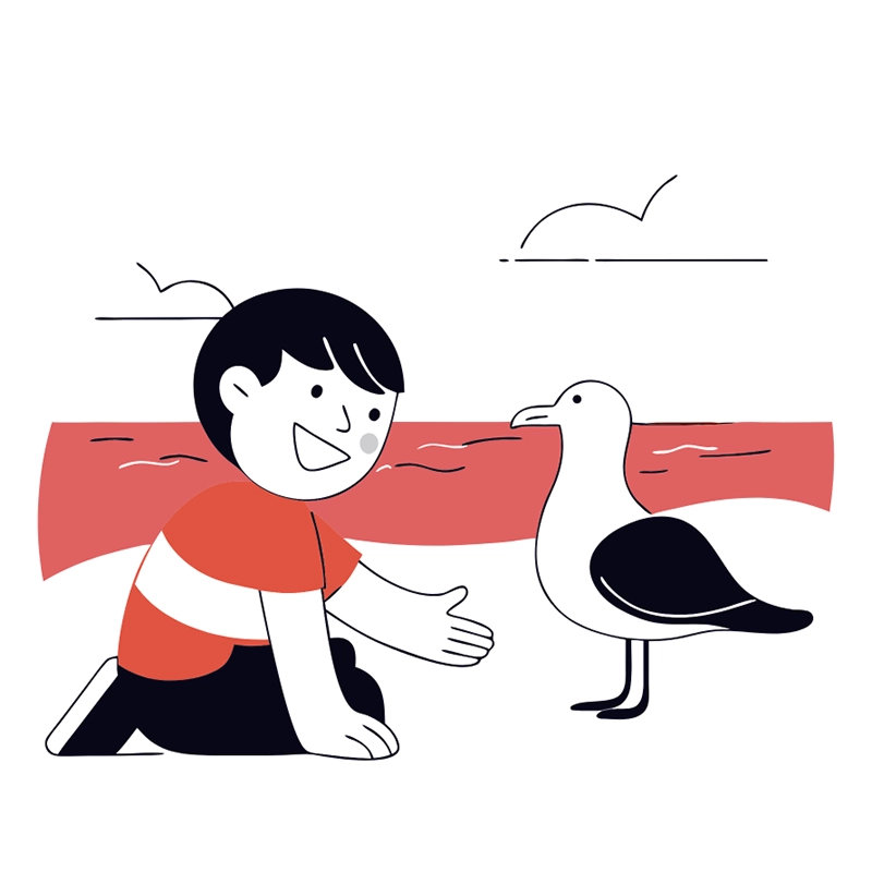 Kind füttert eine Möwe am Strand – Symbolbild für Highlights auf Usedom