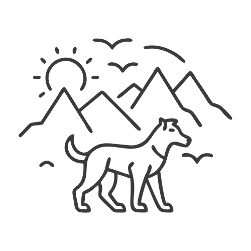 Hund in den Bergen – Symbol für hundefreundliche Wanderwege