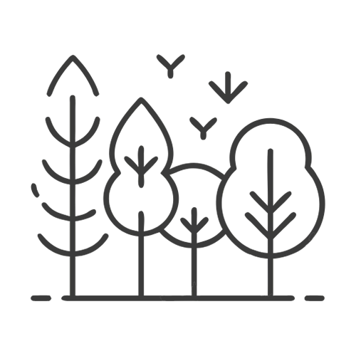 Bäume – Symbol für ein Hotel inmitten der Natur