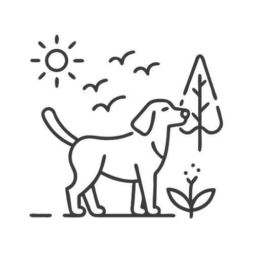 Hund am Strand – Symbol für hundefreundliche Strände